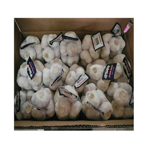 Meilleur prix de gros d'ail frais nouvelle récolte d'ail frais pour l'exportation de l'ail frais <span class=keywords><strong>Ado</strong></span> - Product Image 2