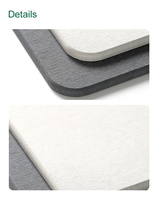 FEEPOP Set de dessous-de-plat rectangulaires en diatomite, résistants à la chaleur et écologiques, pour comptoir de cuisine et séchage de vaisselle