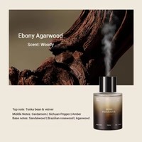 Diffuseur de parfum automatique pour voiture 300 ml, nouveau, très vendu, luxe, diffuseur à bâtonnets, cadeau haut de gamme