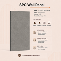 Panneau mural moderne en PVC imperméable et ignifuge, garantie 3 ans, pour la décoration murale de la salle de bain, de l'hôtel, solutions de design graphique
