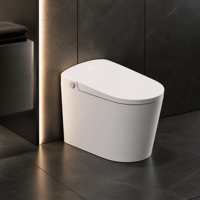 Ensemble WC intelligent avec bidet électrique, siège chauffant, chasse d'eau automatique et accessoires de salle de bain modernes