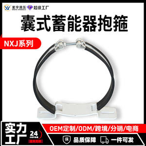 Abrazaderas de Acumulador de Bolsa para Herramientas Hidráulicas Serie NXJ, Abrazadera de Fijación Especial para Envío Directo, Stock de Fábrica - Product Image 4