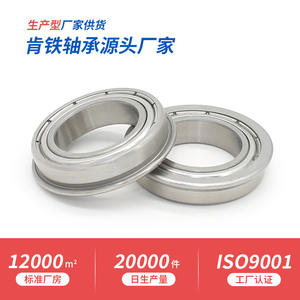 Rodamientos de Bolas de Ranura Profunda de Acero Inoxidable SF6804ZZ, Suministro Directo de Fábrica, Equipos de Galvanoplastia, Bridas Resistentes a la Corrosión, Venta al por Mayor - Product Image 5