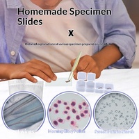 Microscope portable en plastique pour influenceurs, expériences scientifiques optiques et électroniques, 27x24x7cm, pour l'approvisionnement transfrontalier