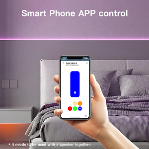 Vấn đề <span class=keywords><strong>wifi</strong></span> thông minh <span class=keywords><strong>Led</strong></span> điều khiển RGB CCT đẩy mờ chuyển đổi điều khiển bằng giọng nói Loa thông minh cho tự động hóa nhà - Product Image 6