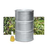 Fournisseurs d'huiles parfumées, huile de jojoba 100% pure pressée à froid, huile végétale biologique pour parfum, vente en gros en vrac