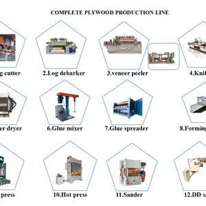 Linha de produção de máquinas para fabricar madeira compensada YUEQUN completa fábrica