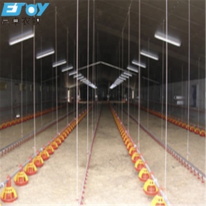Equipo automatizado de aviarios de pollos Nueva condición <span class=keywords><strong>Bebederos</strong></span> y <span class=keywords><strong>comederos</strong></span> de pollos de engorde <span class=keywords><strong>para</strong></span> granja avícola - Product Image 4