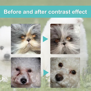 Venta caliente perros lágrima tratamiento picazón alivio del dolor líquido gota brillo ojo limpiador líquido glándula lagrimal - Product Image 6