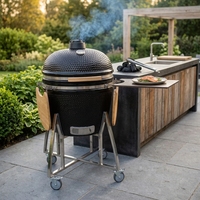 Barbecue au charbon de bois en céramique Kamado avec support en acier inoxydable, finition émaillée de 29 pouces, garantie 1 an - Fumoir de cuisson extérieur