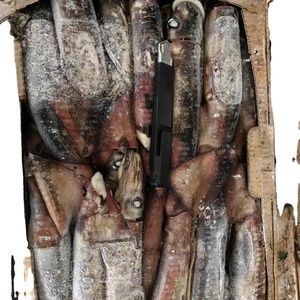 Buon prezzo su Calamari interi rotondi indiani (Calamari) - Product Image 5