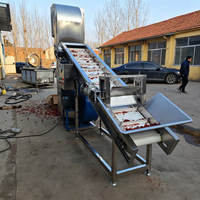 Industriële luchtselectie-apparatuur, volautomatische zeefmachine voor het sorteren en verwerken van bonen, chilipepers, noten en gedroogd fruit