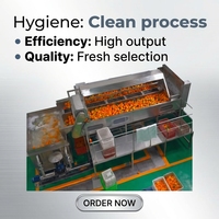 Ligne complète de traitement du jus d'orange et d'agrumes, lave-fruits automatique, extracteur de jus, stérilisation UHT, remplissage, projet clé en main