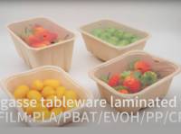 Film de scellage thermique universel en rouleau pour barquettes alimentaires en plastique PET/PE, anti-buée, pour fruits et fruits de mer, prix usine