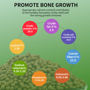 High-Protein High-Nutrition <span class=keywords><strong>Aquatic</strong></span> <span class=keywords><strong>Turtle</strong></span> <span class=keywords><strong>Food</strong></span> Factory Atacado com amostras grátis Pet <span class=keywords><strong>Food</strong></span> especial para tartarugas - Product Image 2