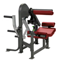 Équipement de gymnastique commerciale Muscles Stretch Workout Assis Back Extension machine SZP02