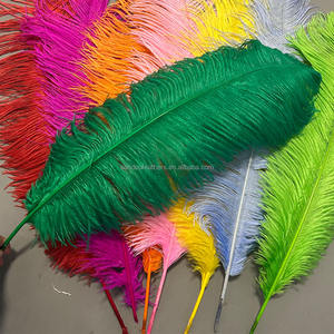 Vente en gros de <span class=keywords><strong>plumes</strong></span> <span class=keywords><strong>d</strong></span>'<span class=keywords><strong>autruche</strong></span> multicolores de 22 à 24 pouces 55 à <span class=keywords><strong>60</strong></span> <span class=keywords><strong>cm</strong></span> pour costumes de carnaval, <span class=keywords><strong>d</strong></span>écoration de fête de mariage, Plumas - Product Image 6