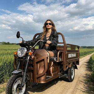 Superauto de Tres Ruedas 2026, Mini Scooter Eléctrico Barato de 60V 2000W, Triciclo Eléctrico de 3 Ruedas para Adultos - Product Image 4