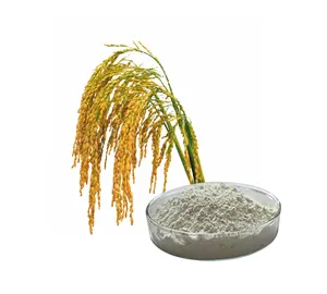 Best Quality Rice Bran Extract Powder Phytoceramides 1%-10% Rice Bran Extract