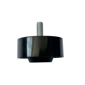 Tensor de Correa Ajustable de Alta Calidad con Rodamiento, Número OE 1025200XEB02 - Product Image 1