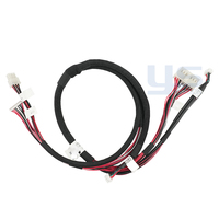 Arnés de cables de recolección de señal BMS personalizado para paquete de batería de almacenamiento de energía Cable aislado Ensamblaje de cables de monitoreo de batería EV