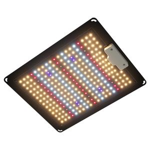 แผงไฟ LED ควอนตัม 300W สเปกตรัมเต็มสำหรับปลูกพืช ให้ค่า PPFD สูง ด้วยชิป Samsung LM301H สำหรับโรงเรือนเพาะปลูก - Product Image 3