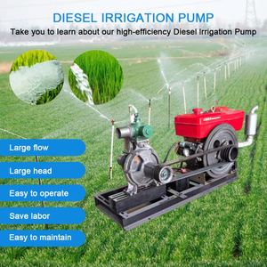 Pompe à eau pour l'irrigation, surpresseur d'irrigation, pompe diesel 3000 m³/h pour système d'irrigation agricole, 8 CV - Product Image 2