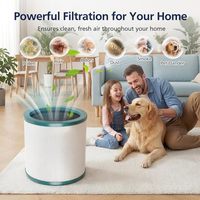 Filter Udara Pengganti Kompatibel dengan Dy Son TP00 TP01 TP02 TP03 BP01 AM11 Hepa Carbon Filter Air Purifier