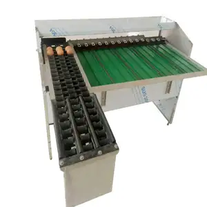 Hot sale Multifunction small egg size grade washing and sorting machine chicken egg sorting grading machine