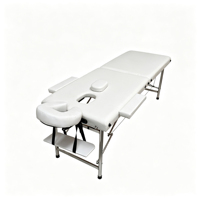 Table de massage portable haut de gamme à 2 sections, pieds en acier inoxydable, lit de spa pliable pour usage professionnel