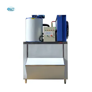 Machine fiable élevée de flocon de glace de refroidissement à l'air de contrôle facile de machine à glace d'évaporateur d'acier inoxydable