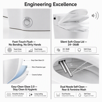 WC intelligent en céramique au design moderne, chasse d'eau à air comprimé, sans électricité, à siphon, monobloc, bidet, nettoyage des fesses, vente en gros