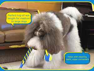 Durable Eco-Friendly Nylon Pet Masticar Juguetes Movimiento Interactivo Juguetes para Mascotas - Product Image 1