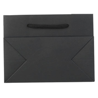 Benutzer definierte Logo Luxus Geschenk tragen Karton Papier Einkaufstasche mit Band Griff