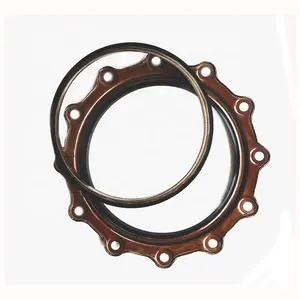 Ism ISM11 M11 QSM11 Dieselmotor Onderdelen Kit Achter Seal Crank 4089542 4023018 4923644 Voor Cummins