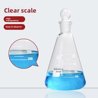 Botol Erlenmeyer Laboratorium Kaca Borosilikat Tinggi Tahan Panas dengan Tutup 50/100/250/500/1000ml Cina