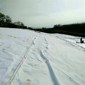 Landfill PET Polyester Non Woven <strong>Geotextile</strong> 500gsm <strong>Geotextile</strong> Geogrid Liner Fabric <strong>Jute</strong> Impervious <strong>Geotextile</strong> Fabric - Product Image 4
