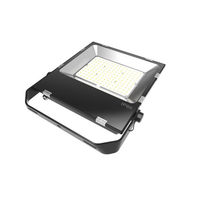Projecteur LED blanc pur, imperméable conforme à la norme IP65, éclairage de chantier, couleur fluo, 2 ans de garantie, 100/220V, 120 LM/W, 50 W, dernière nouveauté