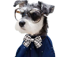 Nouveaux nœuds papillon à carreaux pour chats et chiens Accessoires pour animaux de compagnie à la mode pour le printemps et l'automne