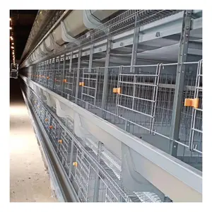 Cages à poules pondeuses en batterie de type H pour fermes avicoles automatiques de conception moderne