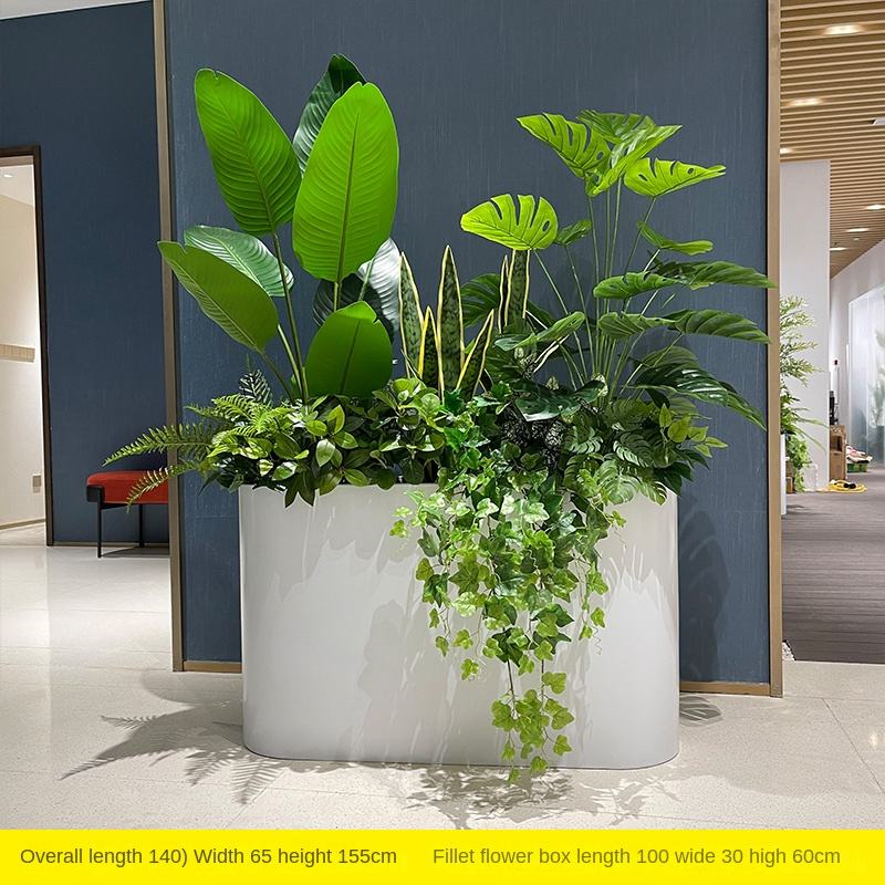 Modèles Monstera Oiseau de Paradis (hors boîte à fleurs)