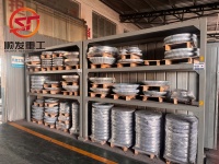 Tapa de Conexión con Brida Forjada de Acero Inoxidable 304 Guten Brew, 1.5''-8'', Superficie Pulida, Baja Presión, Roscas NPT/BSPT, para Cerveza