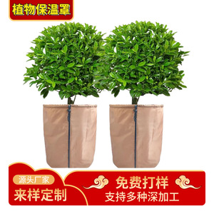 Housse d'isolation pour plantes Chengye, respirante, en polyester, résistante au froid, pour la protection des arbres fruitiers, des fleurs et des pots de jardin - Product Image 3