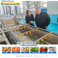 Baiyu commerciële automatische bubbelwasmachine met ozonsterilisatie voor het reinigen van fruit, groenten, sojabonen, maïsmeel en noten