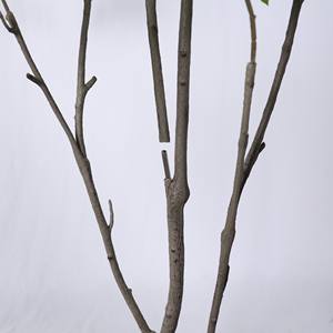 Arbre de gardénia d'île artificielle amovible en pot pour la décoration extérieure intérieure de jardin - Product Image 6