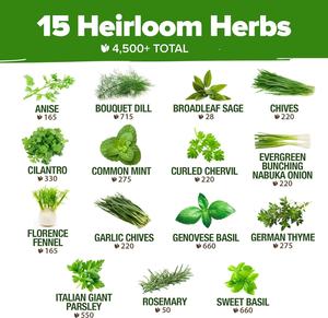 Haute germination sans OGM intérieur héritage culinaire herbe <span class=keywords><strong>basilic</strong></span> pour hydroponique extérieur jardin Durable Pots de fleurs jardinières pour - Product Image 3