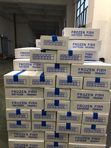 Poisson congelé, maquereau, poisson BQF, maquereau atlantique de grande taille, fournisseur de maquereau - Product Image 6