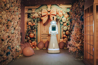Photobooth 360 portable pour fêtes, mariages et événements, avec cabine, robot automatique et imprimante – Meilleures ventes