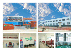 Baixo Preço Venda de Alta Qualidade Clorofila Usado para Oral Care e Body Care - Product Image 5