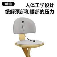Chaise de bar moderne en métal, style luxe léger, design haut de gamme, avec dossier, non pivotante, pour îlot de cuisine